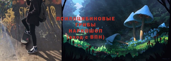 ешки Аркадак