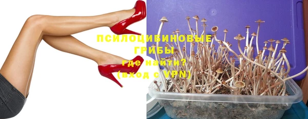 ешки Аркадак