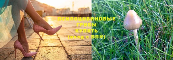 ешки Аркадак