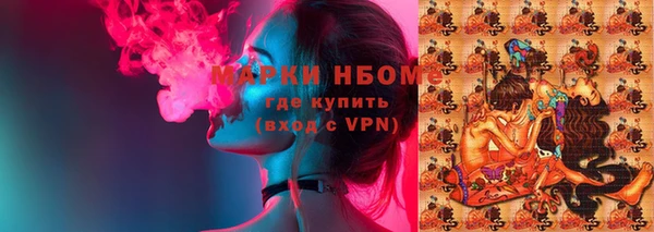 ешки Аркадак
