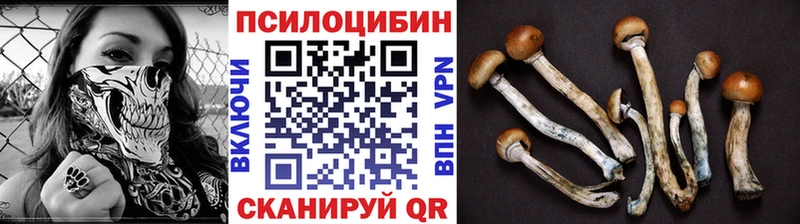 Псилоцибиновые грибы MAGIC MUSHROOMS  Ярцево 