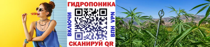 магазин    Ярцево  Шишки марихуана планчик 